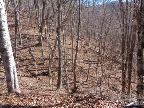 000 Listening Cove Clyde NC 28721