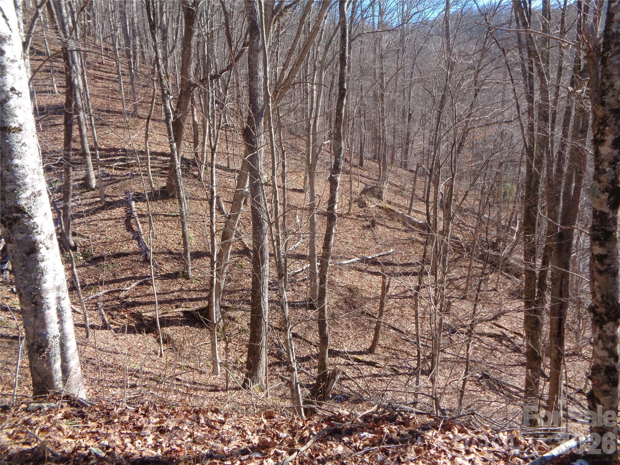 000 Listening Cove Clyde NC 28721