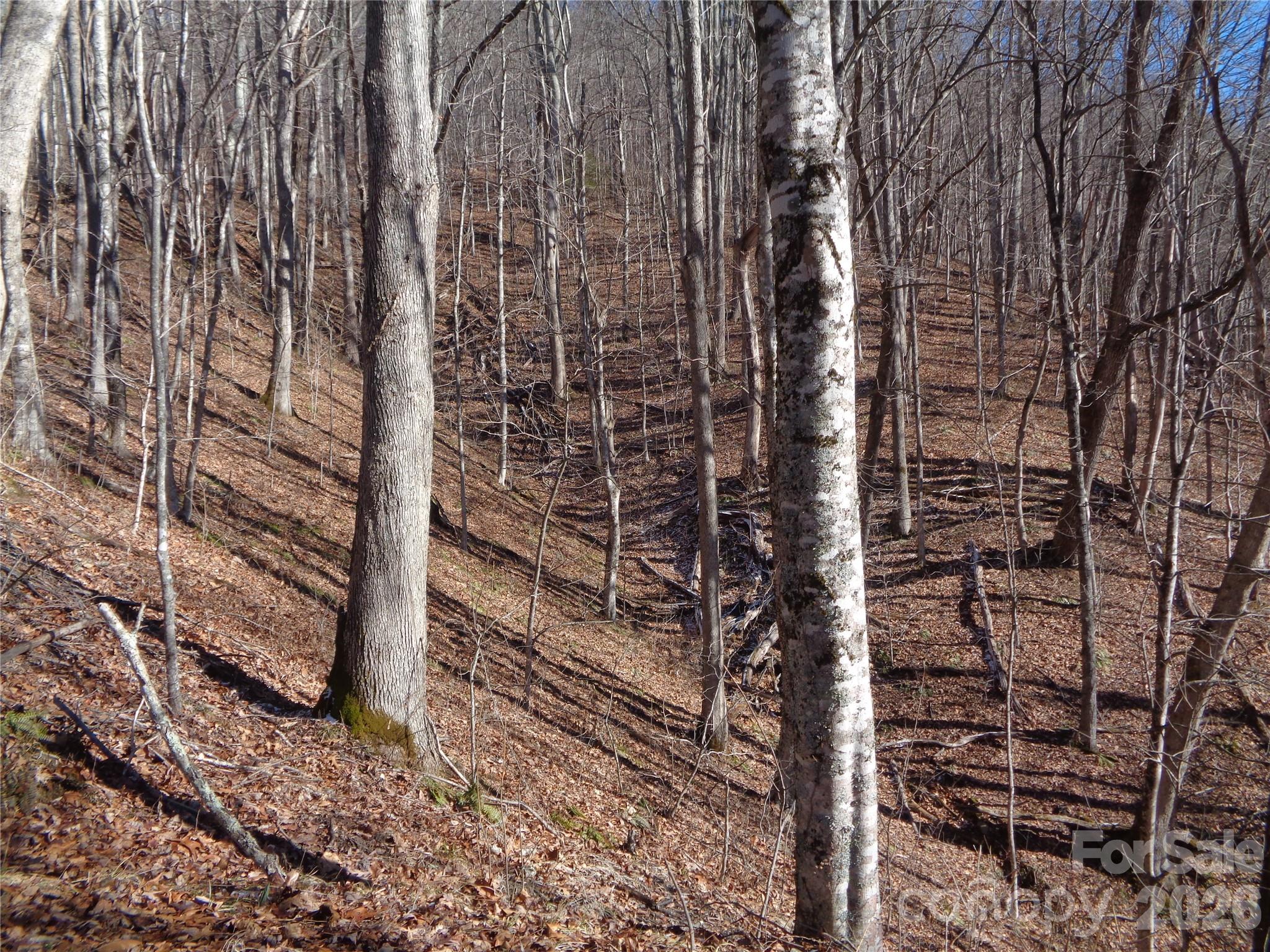 000 Listening Cove Clyde NC 28721