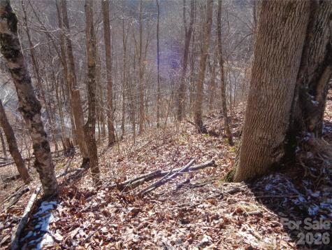 000 Listening Cove Clyde NC 28721