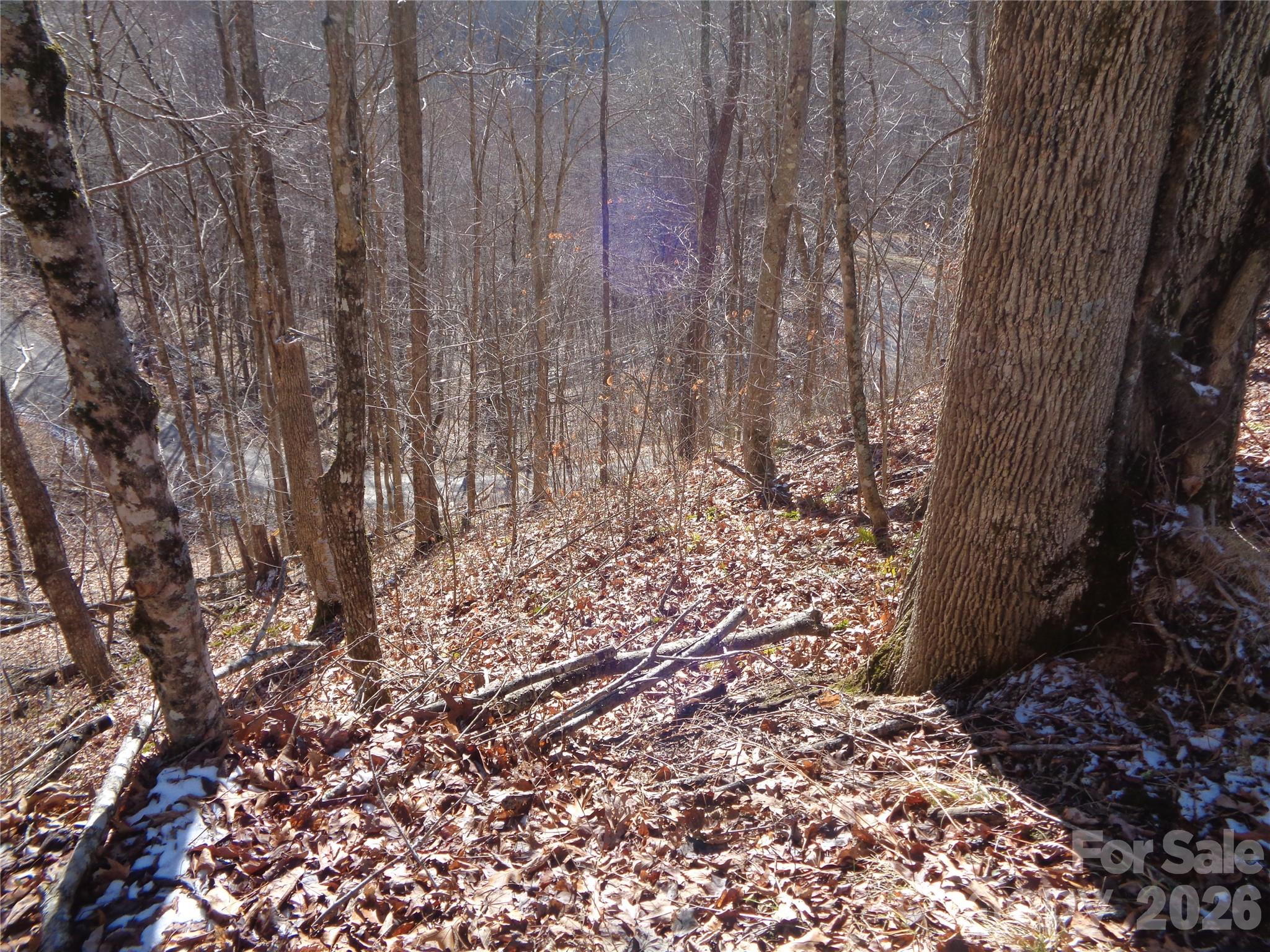 000 Listening Cove Clyde NC 28721