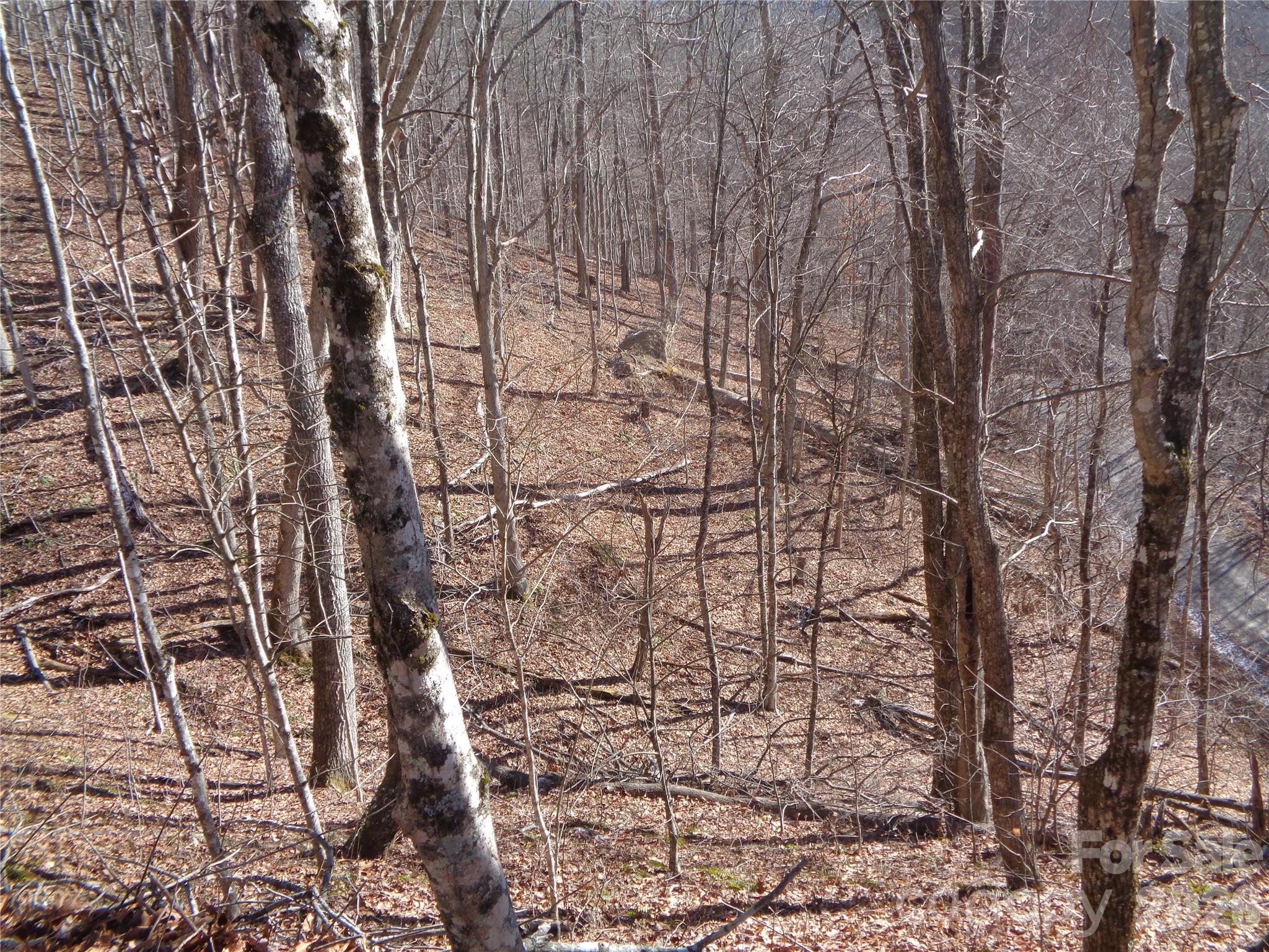 000 Listening Cove Clyde NC 28721