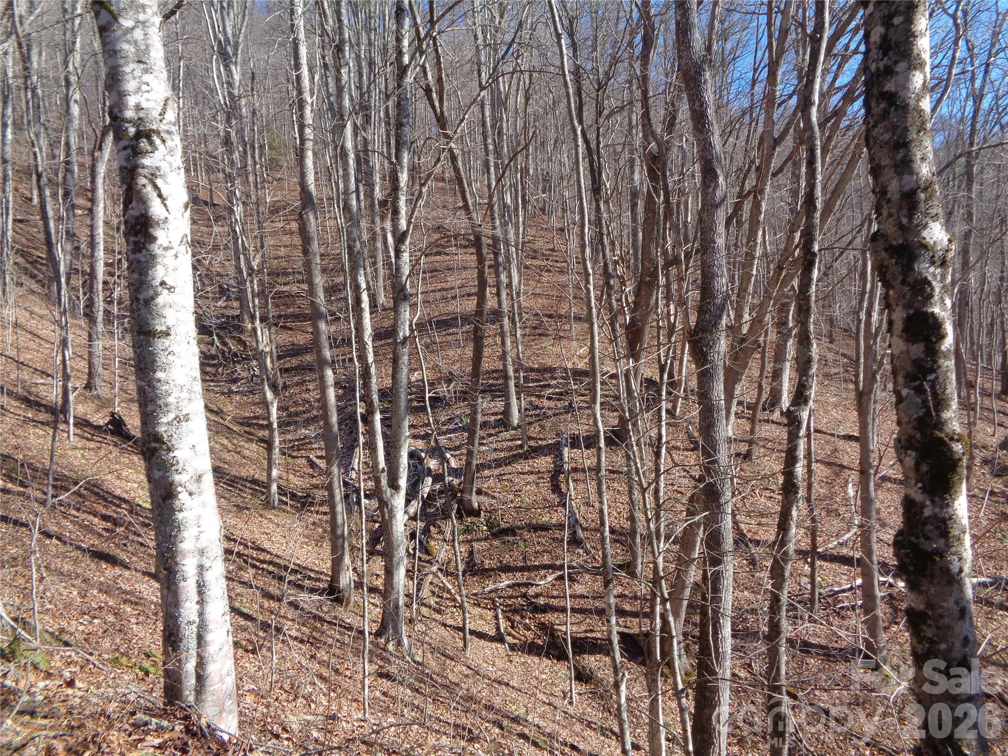 000 Listening Cove Clyde NC 28721