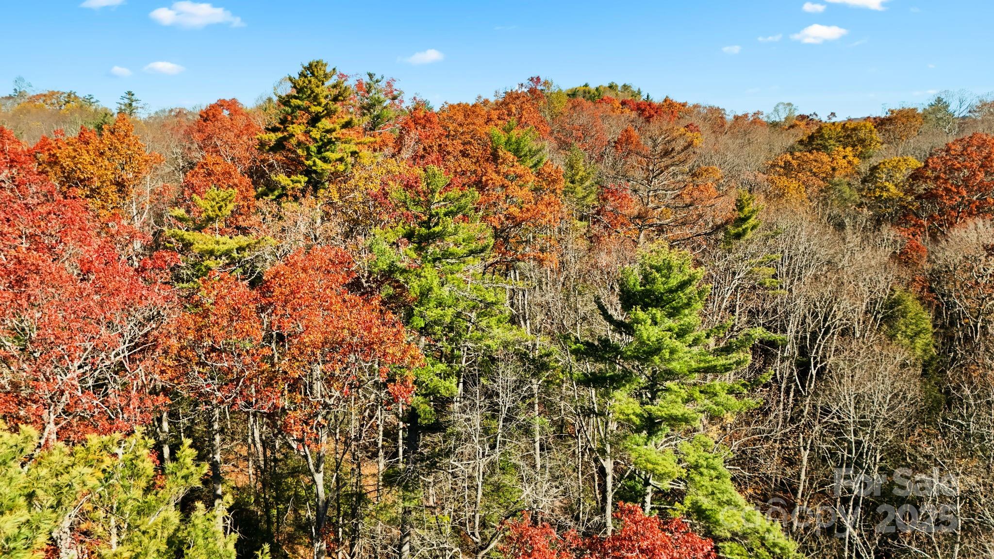 Tbd Midway Road Linville Falls NC 28647