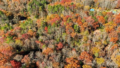 Tbd Midway Road Linville Falls NC 28647