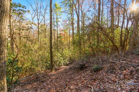 Tbd Midway Road Linville Falls NC 28647
