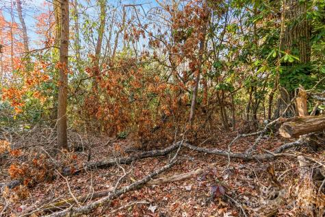Tbd Midway Road Linville Falls NC 28647