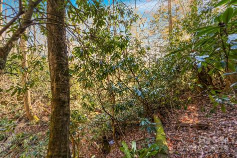 Tbd Midway Road Linville Falls NC 28647