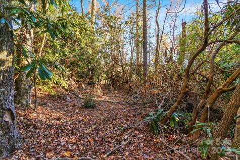 Tbd Midway Road Linville Falls NC 28647