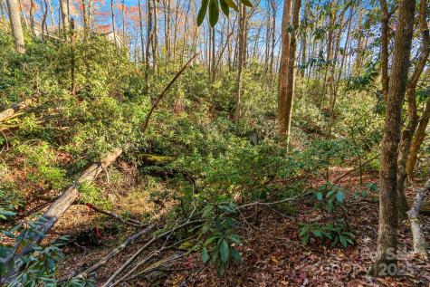 Tbd Midway Road Linville Falls NC 28647