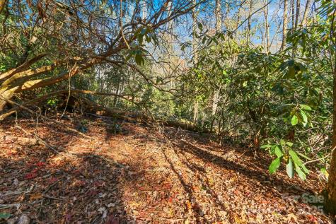 Tbd Midway Road Linville Falls NC 28647