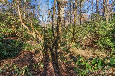 Tbd Midway Road Linville Falls NC 28647