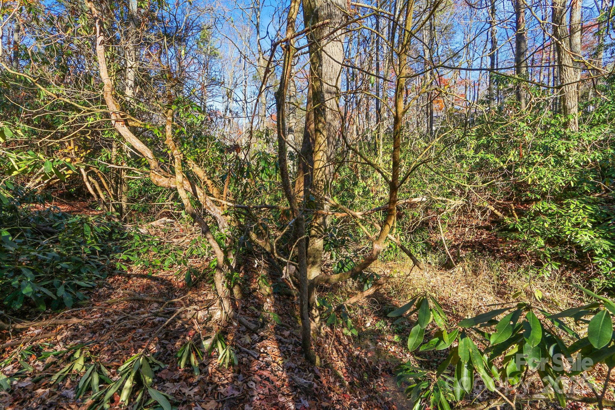 Tbd Midway Road Linville Falls NC 28647