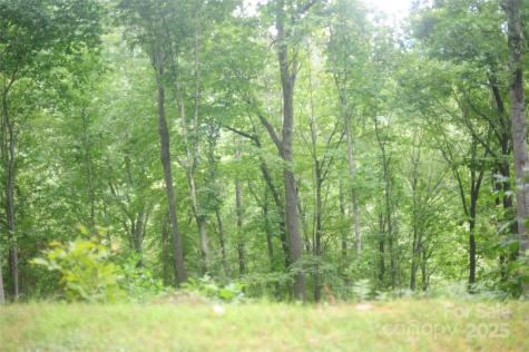 9 Wood Haven Lane Black Mountain NC 28711