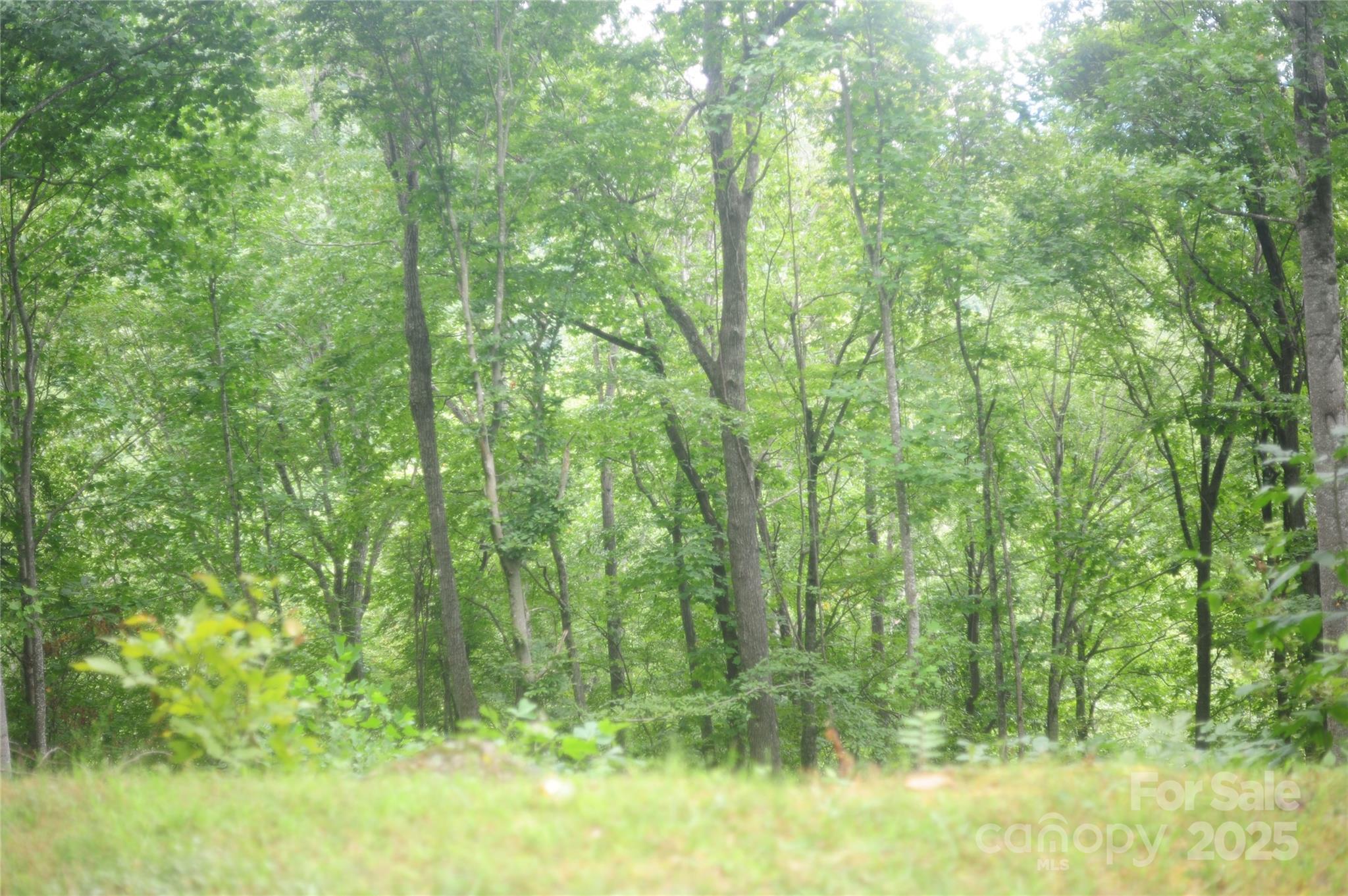 9 Wood Haven Lane Black Mountain NC 28711