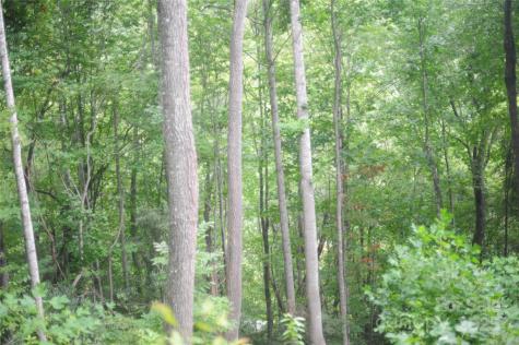 9 Wood Haven Lane Black Mountain NC 28711