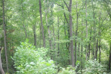 9 Wood Haven Lane Black Mountain NC 28711