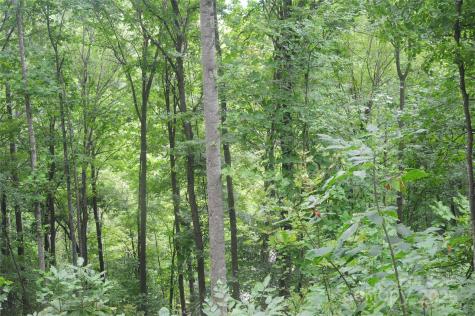 9 Wood Haven Lane Black Mountain NC 28711
