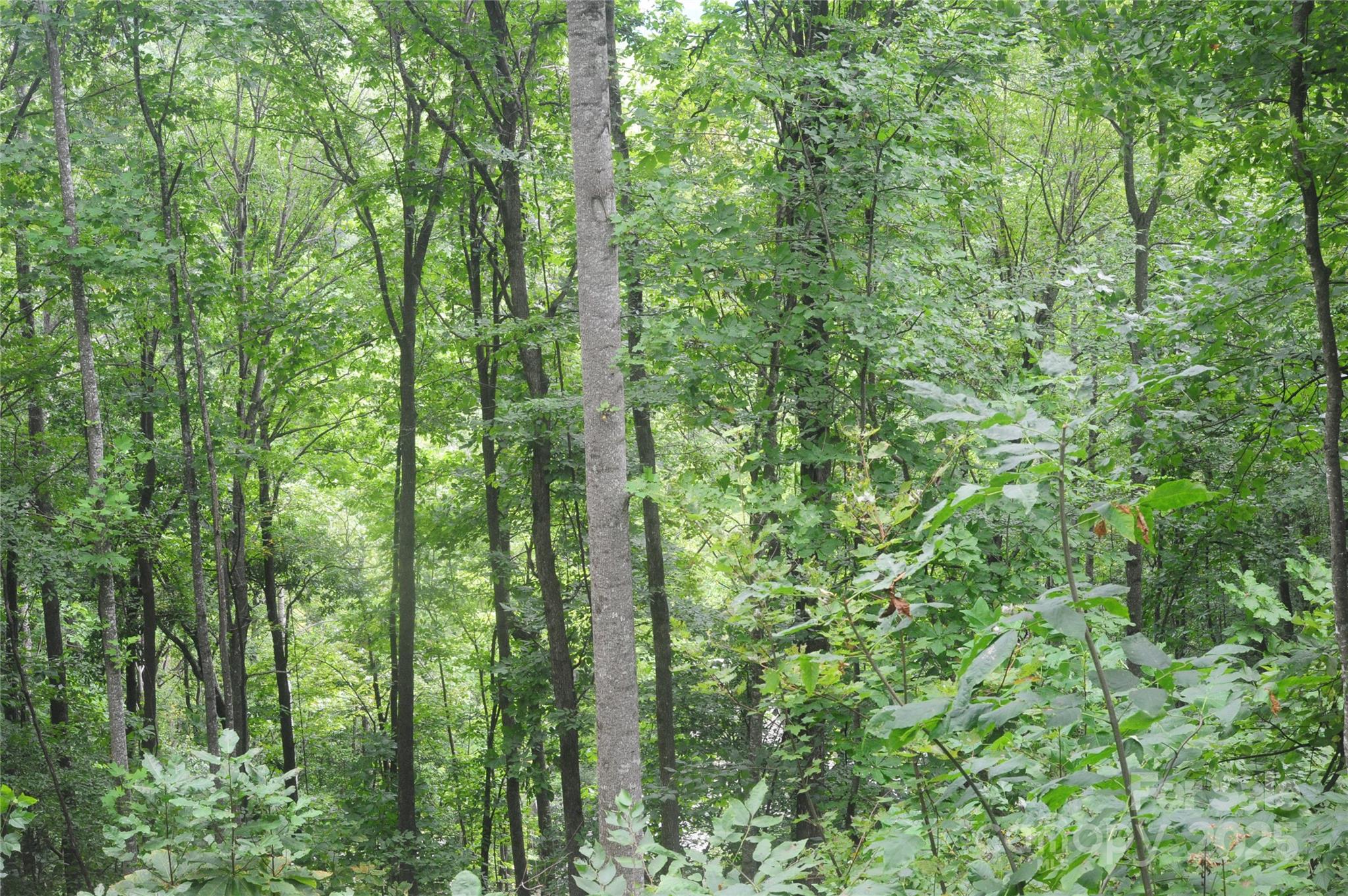 9 Wood Haven Lane Black Mountain NC 28711