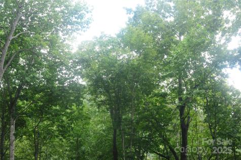9 Wood Haven Lane Black Mountain NC 28711