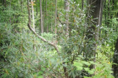 9 Wood Haven Lane Black Mountain NC 28711