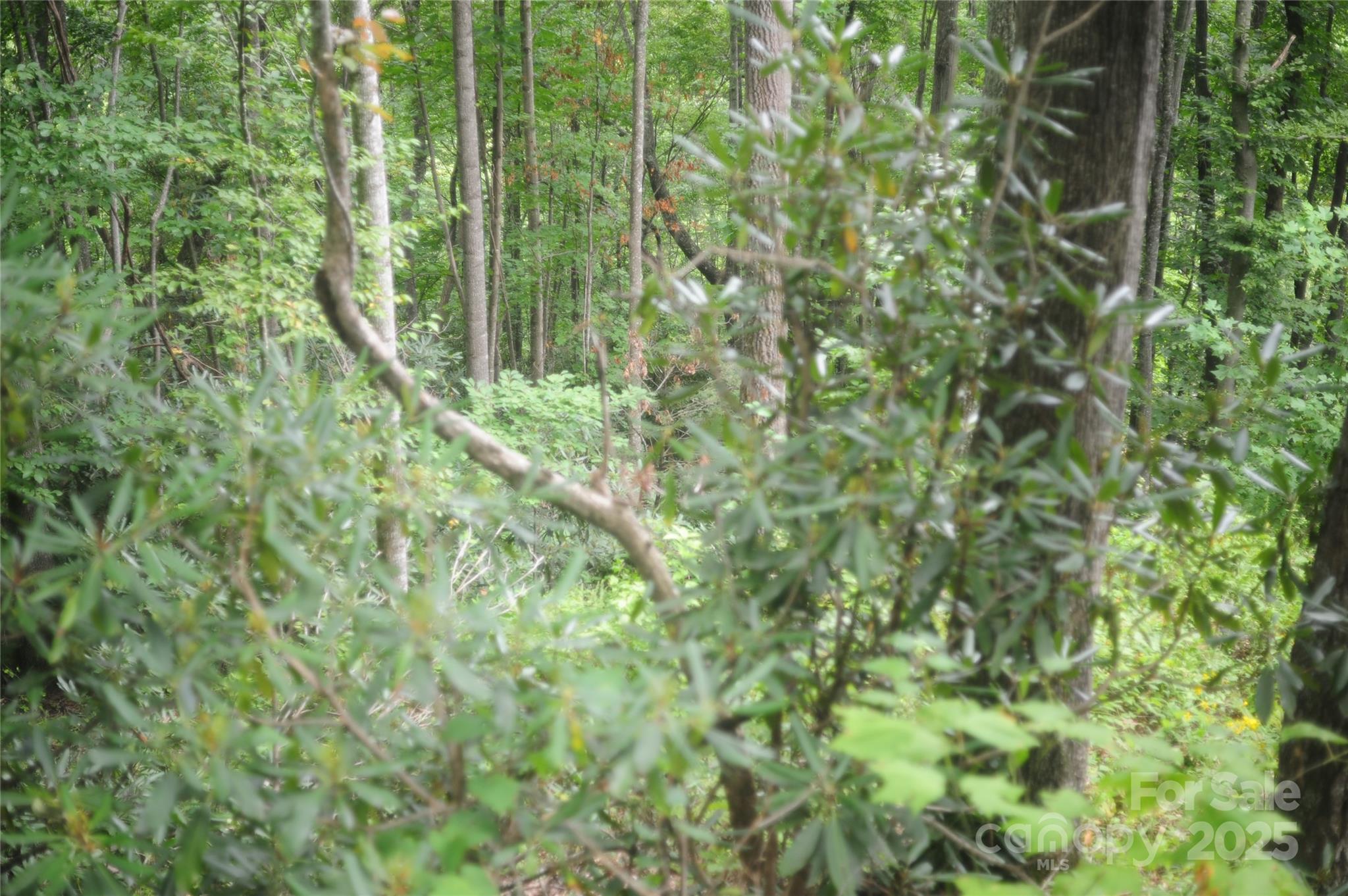 9 Wood Haven Lane Black Mountain NC 28711