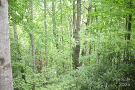 9 Wood Haven Lane Black Mountain NC 28711