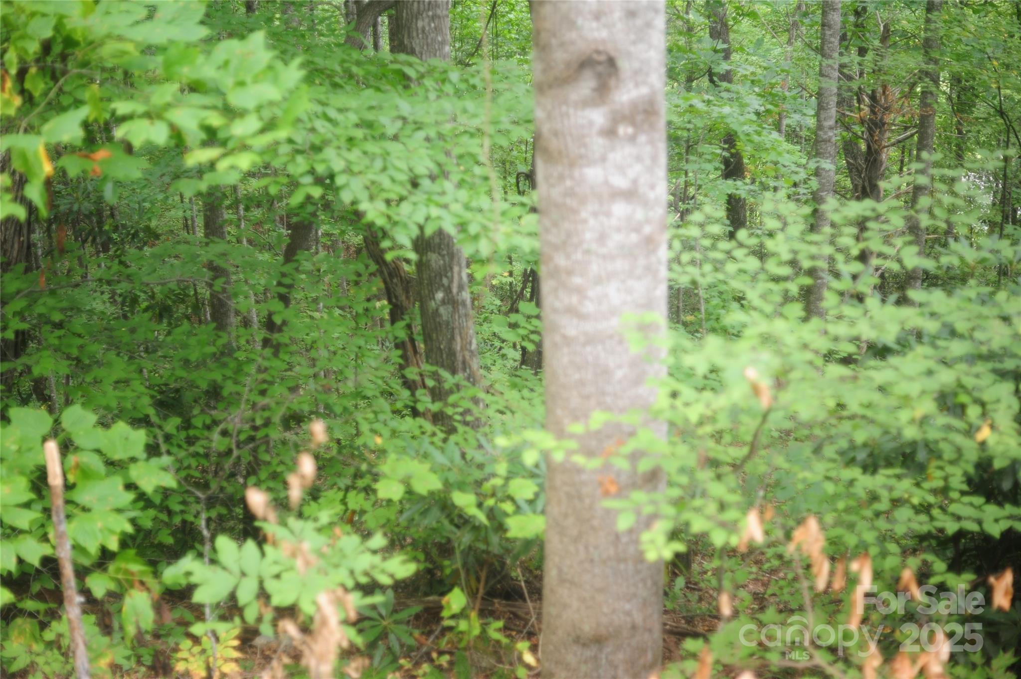 9 Wood Haven Lane Black Mountain NC 28711