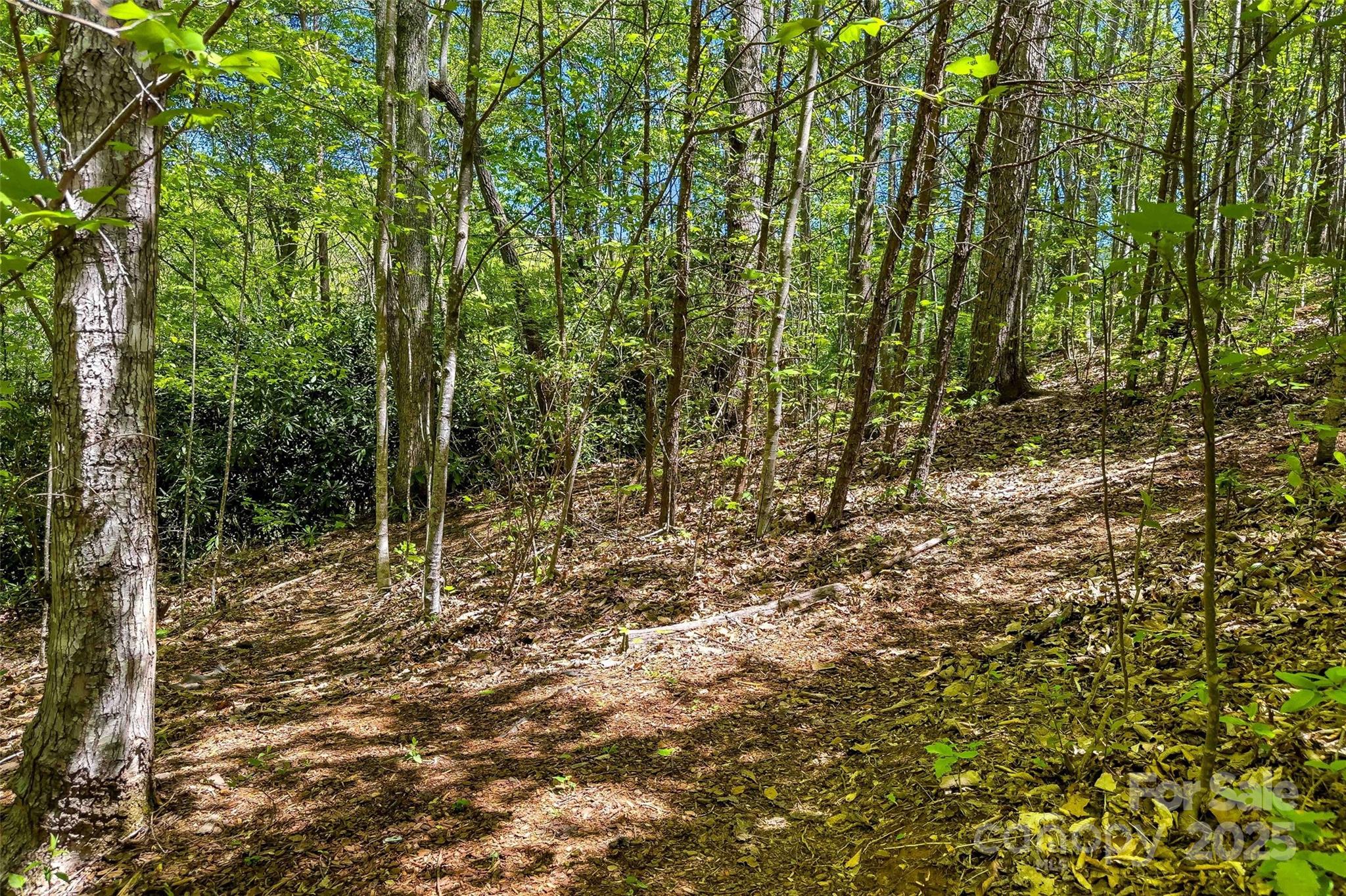 Tbd Hunting Lodge Drive Black Mountain NC 28711