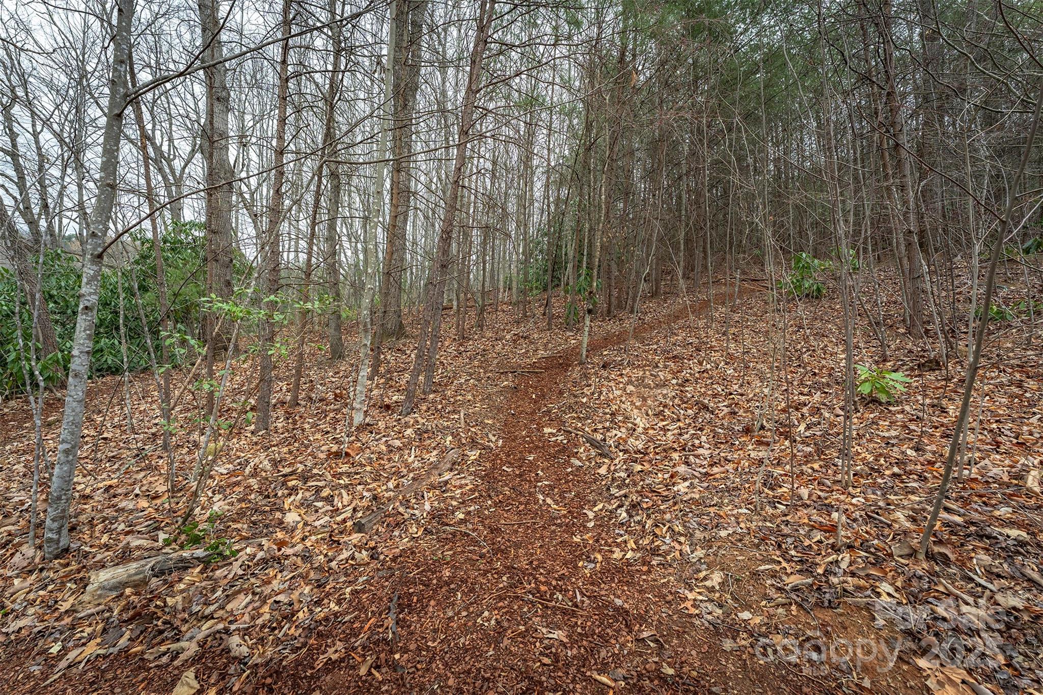 Tbd Hunting Lodge Drive Black Mountain NC 28711