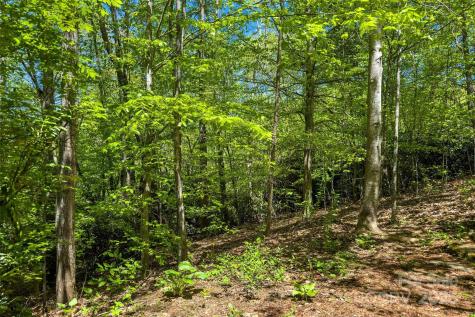 Tbd Hunting Lodge Drive Black Mountain NC 28711