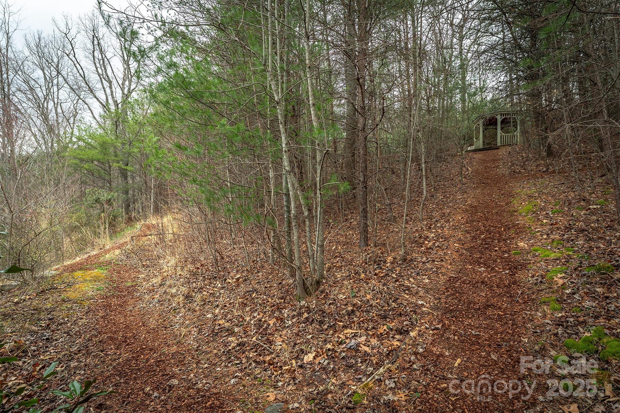 Tbd Hunting Lodge Drive Black Mountain NC 28711