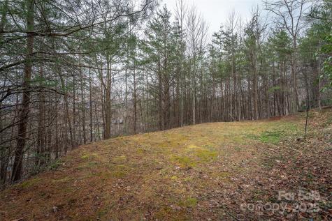 Tbd Hunting Lodge Drive Black Mountain NC 28711