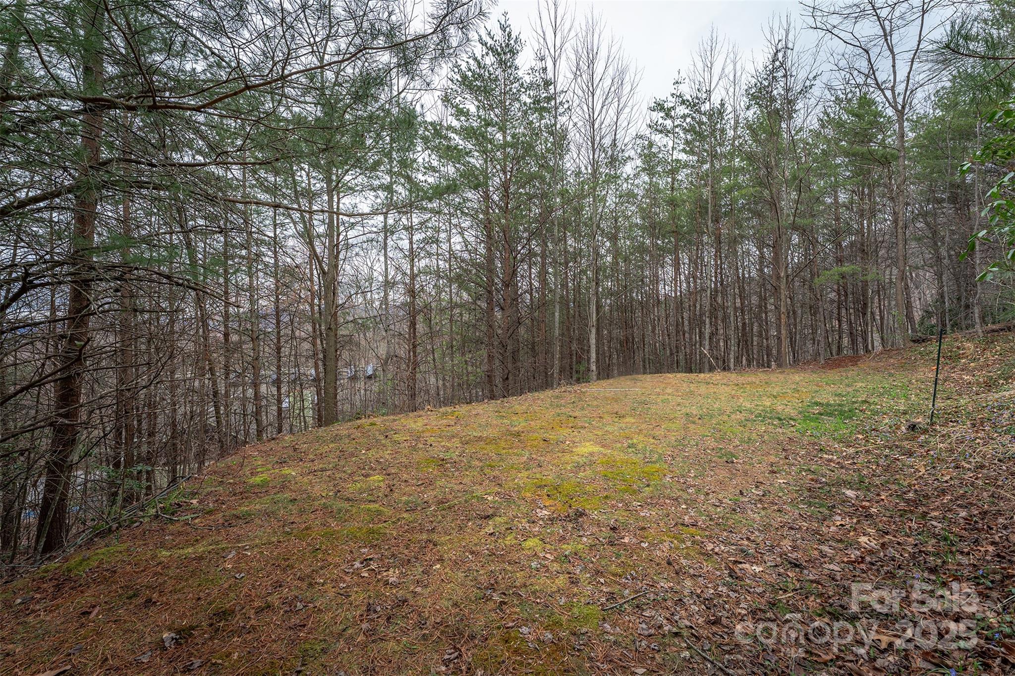 Tbd Hunting Lodge Drive Black Mountain NC 28711