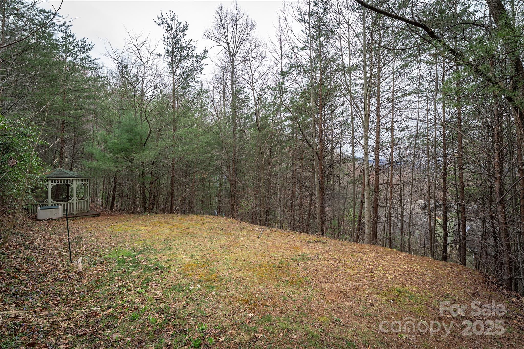 Tbd Hunting Lodge Drive Black Mountain NC 28711