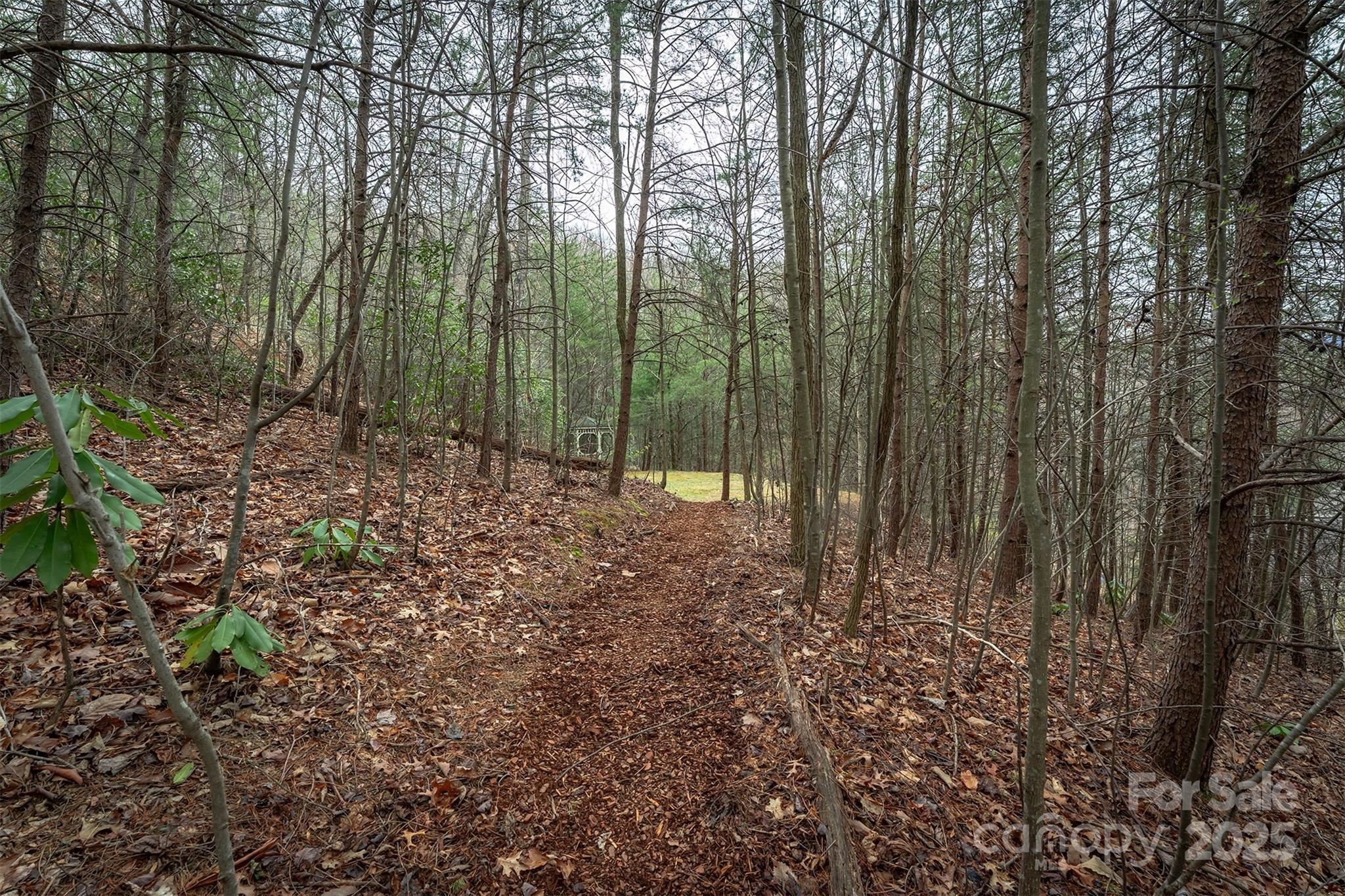 Tbd Hunting Lodge Drive Black Mountain NC 28711