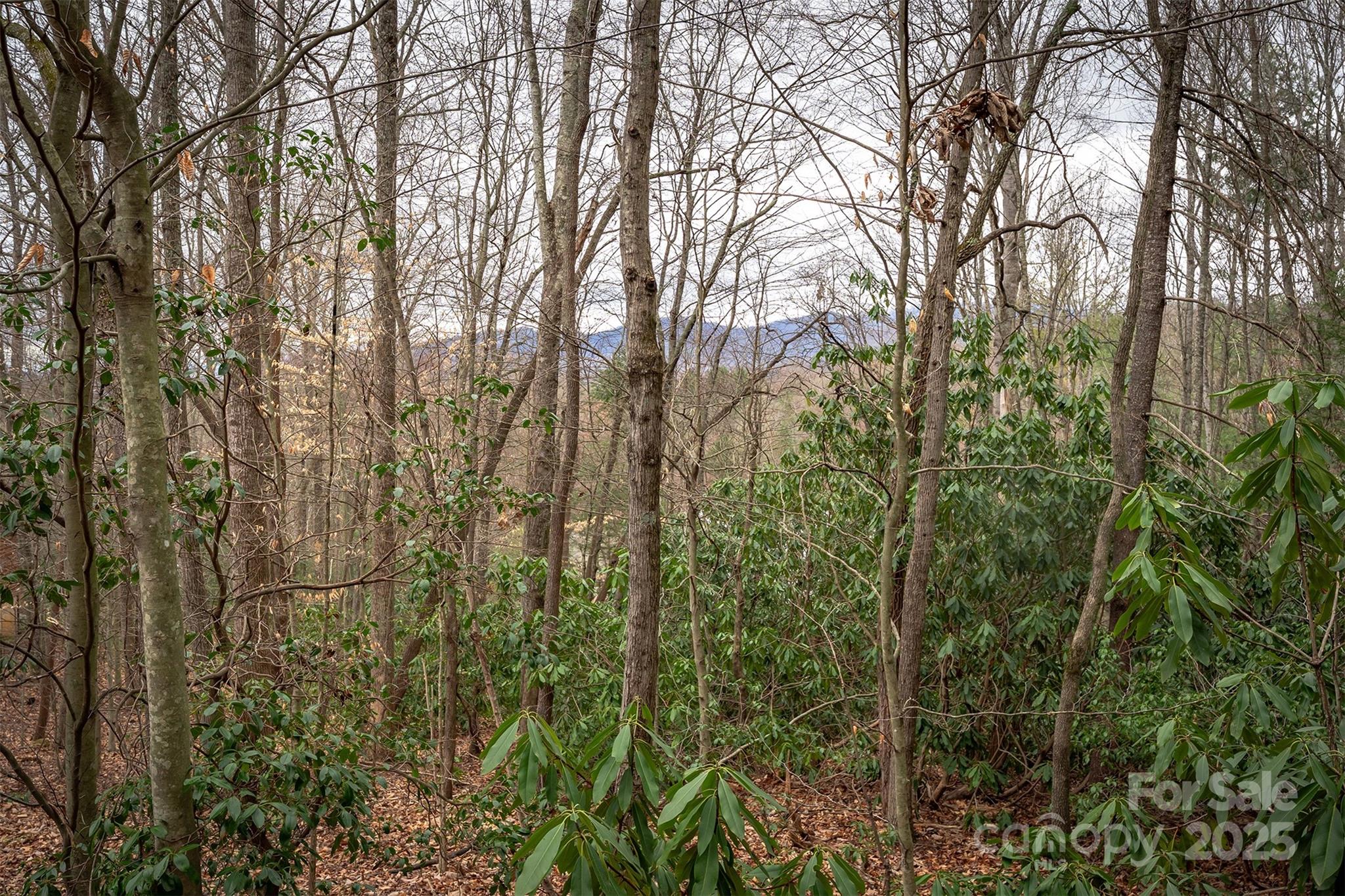 Tbd Hunting Lodge Drive Black Mountain NC 28711