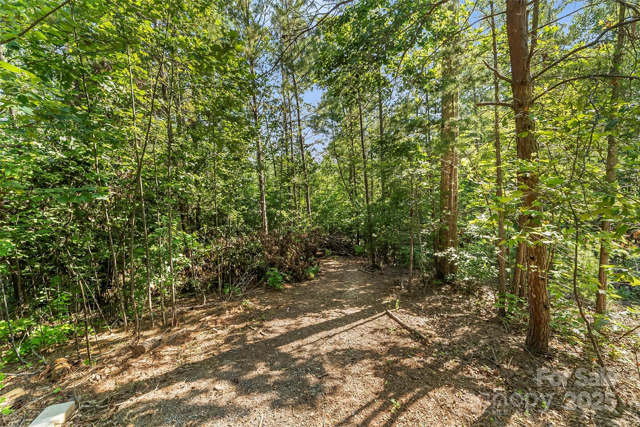 V/l Horizon Drive Nebo NC 28761
