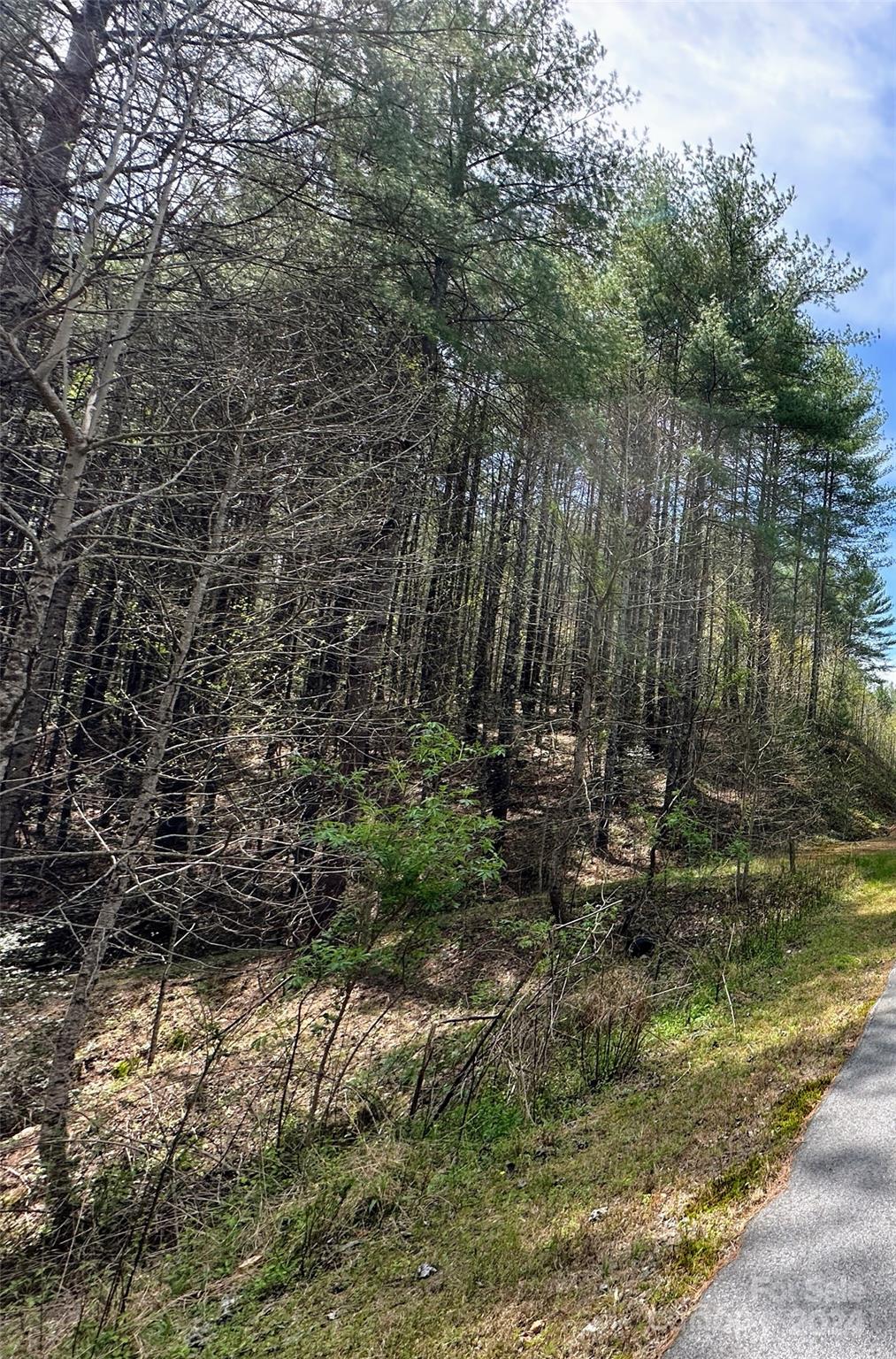 0 National Forest Drive Lenoir NC 28645
