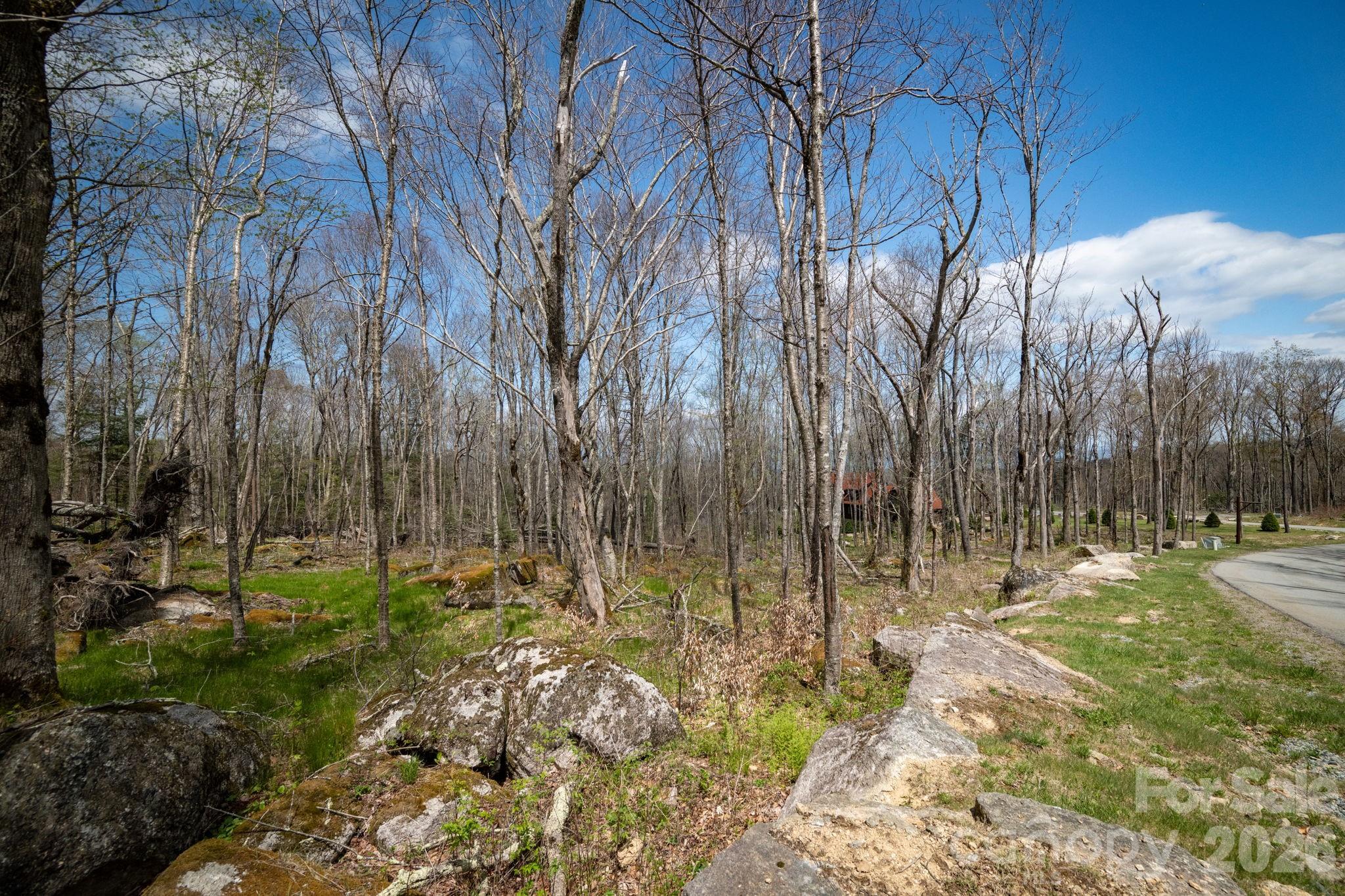 ES-21 Eagle Springs Trail Banner Elk NC 28604