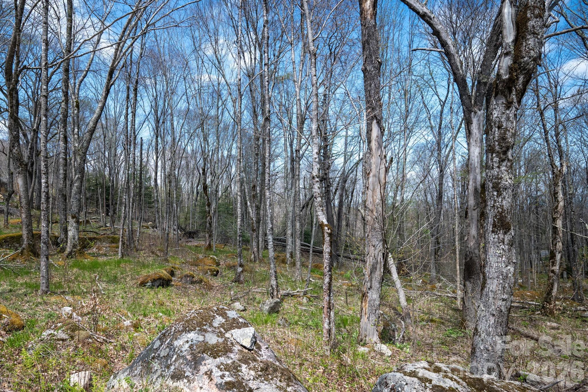 ES-21 Eagle Springs Trail Banner Elk NC 28604