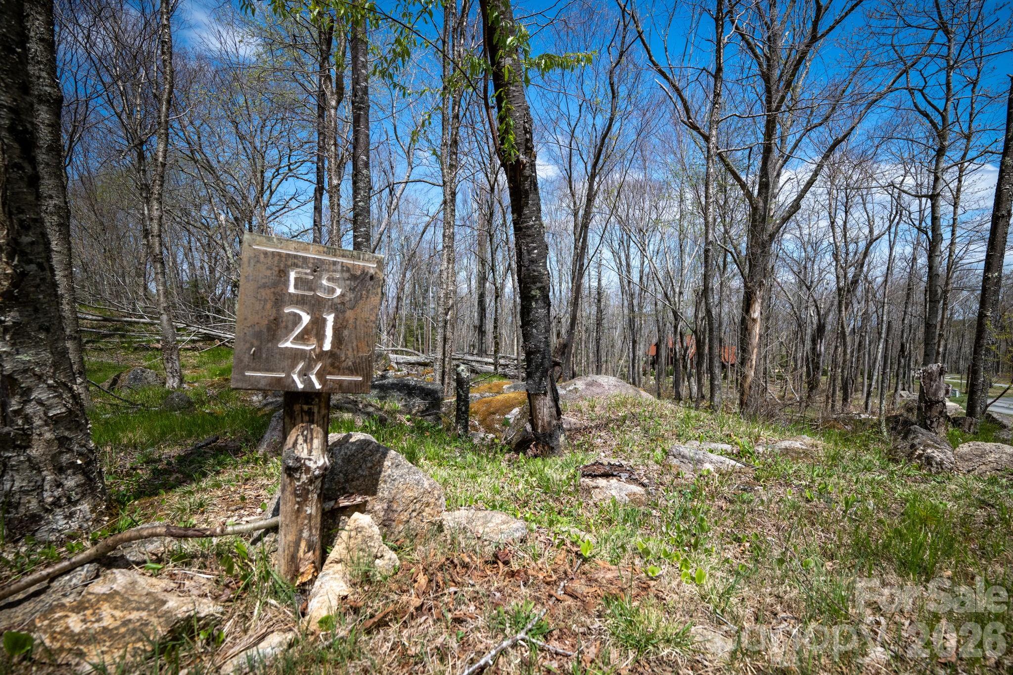 ES-21 Eagle Springs Trail Banner Elk NC 28604