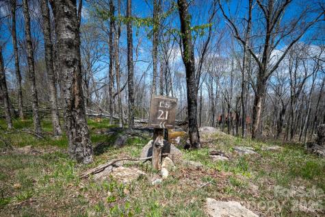 ES-21 Eagle Springs Trail Banner Elk NC 28604