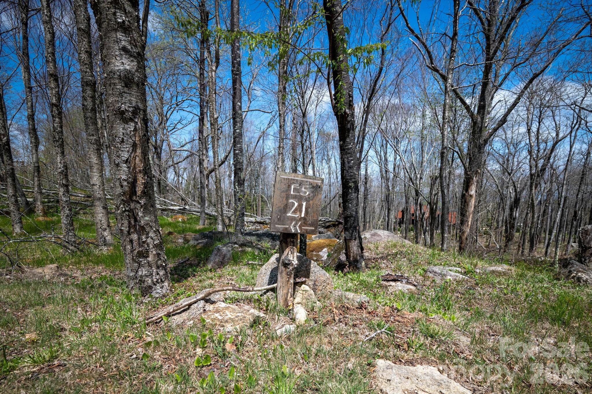 ES-21 Eagle Springs Trail Banner Elk NC 28604