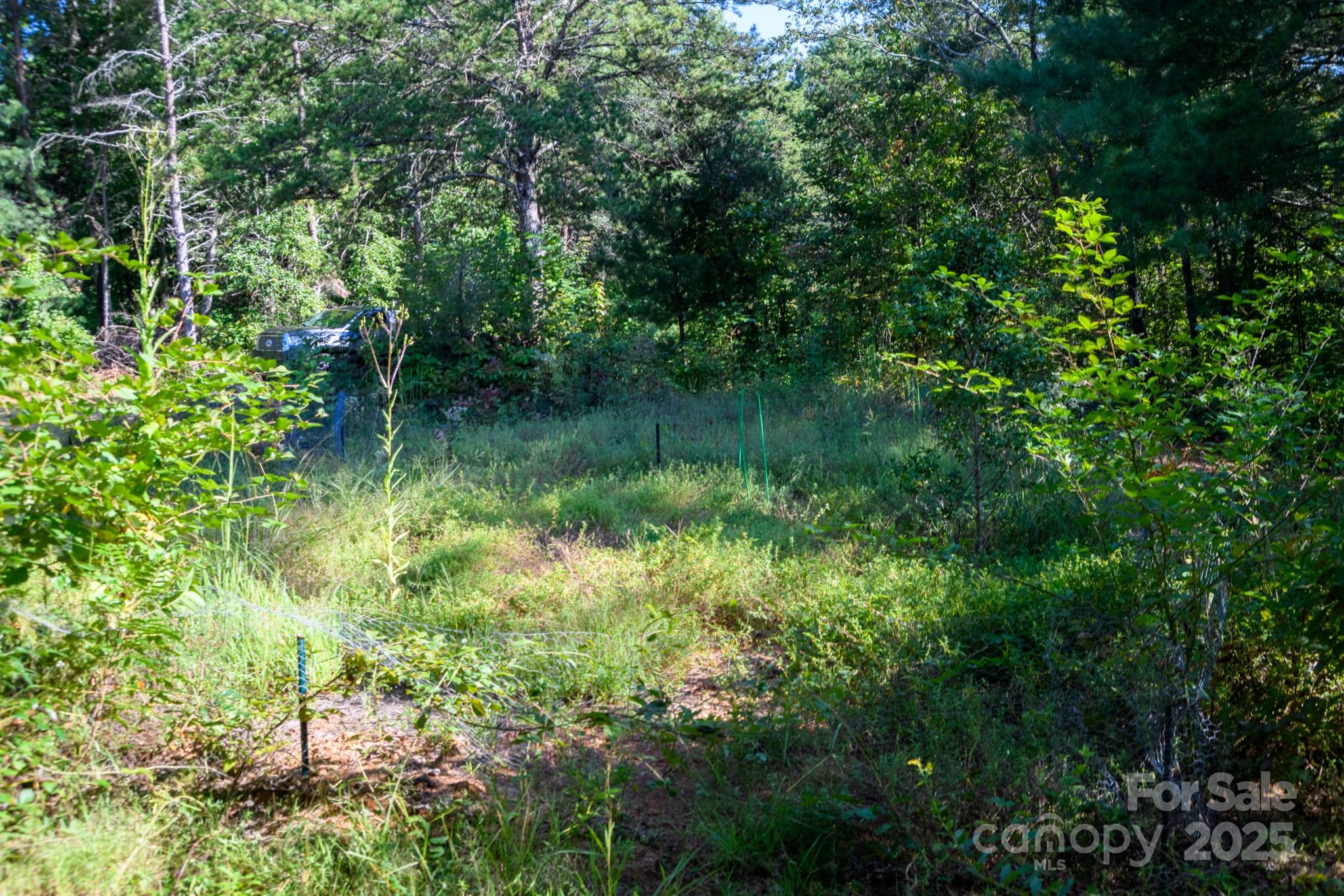 2340 Twin Poplars Lane Lenoir NC 28645