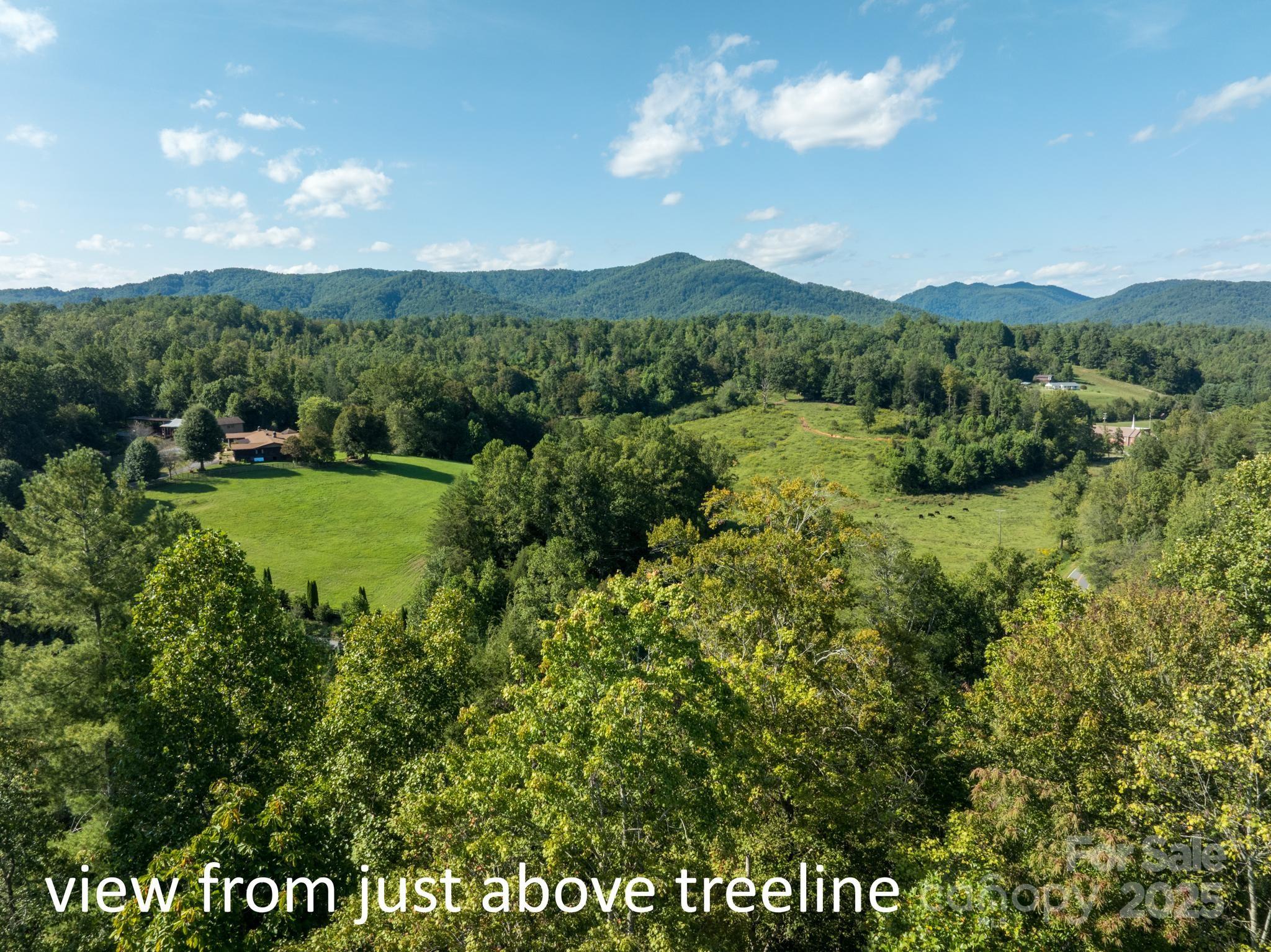 2340 Twin Poplars Lane Lenoir NC 28645