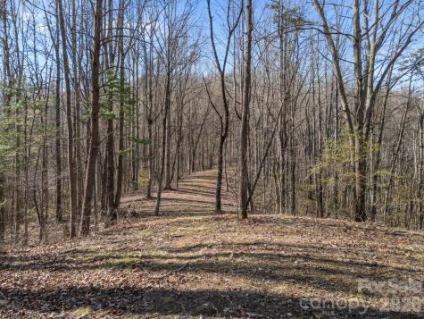 9999 Hidden Cove Road Leicester NC 28748