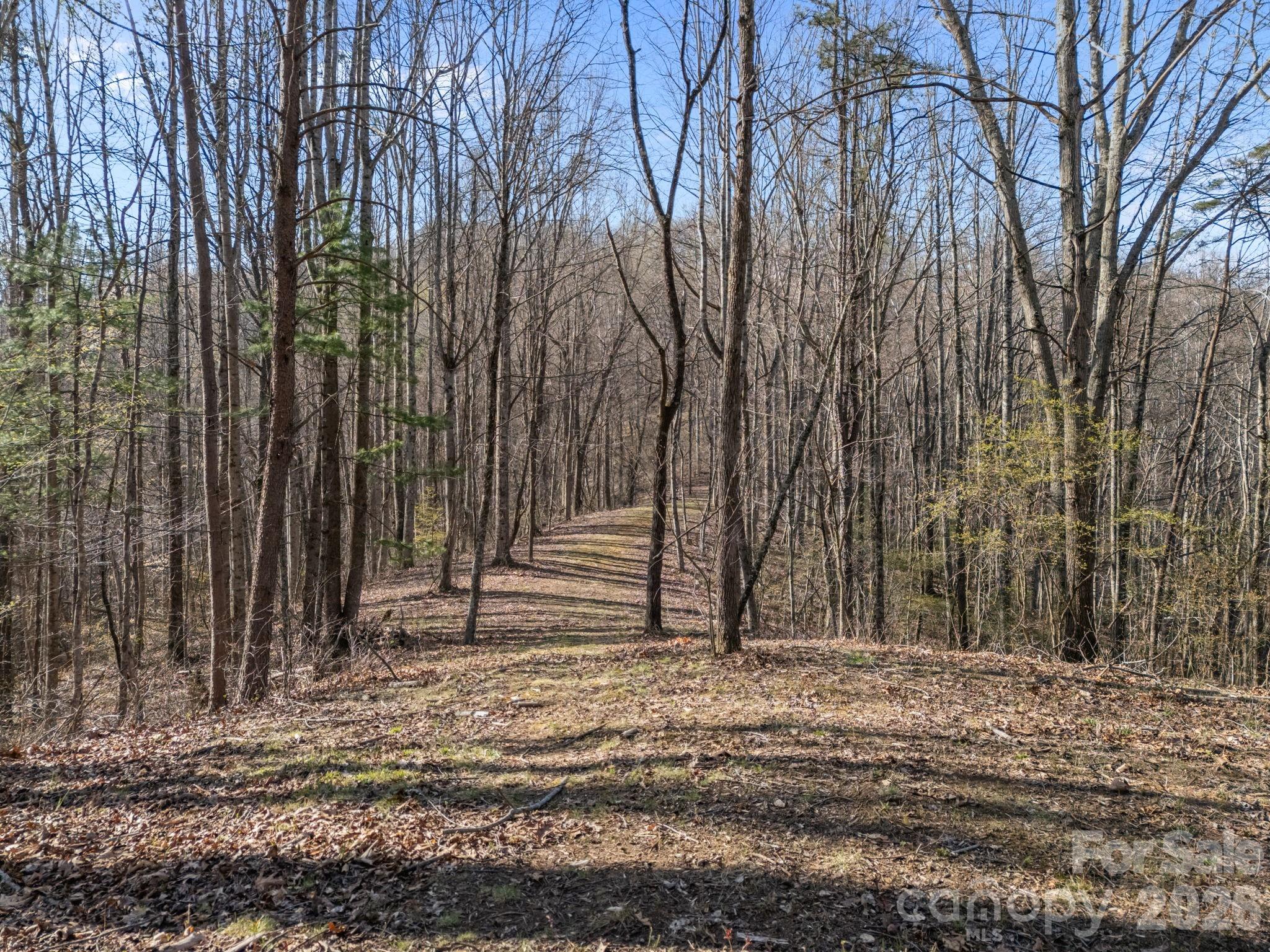 9999 Hidden Cove Road Leicester NC 28748