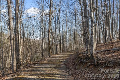 9999 Hidden Cove Road Leicester NC 28748