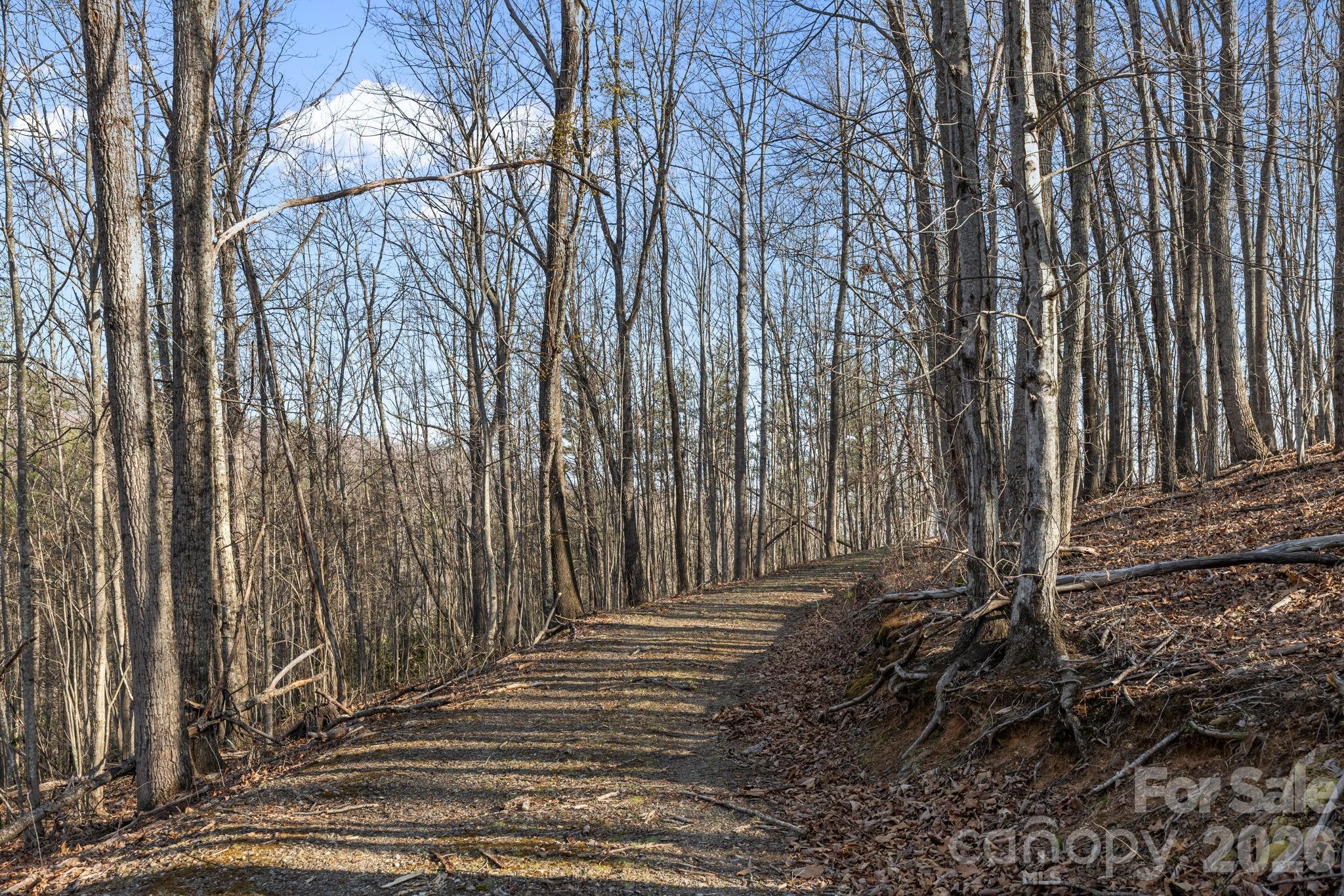 9999 Hidden Cove Road Leicester NC 28748